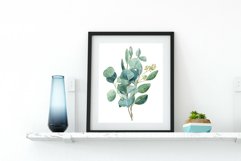 Watercolor Eucalyptus Clipart |Floral Clipart Product Image 2