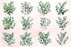 Watercolor Eucalyptus Clipart Bundle Product Image 3
