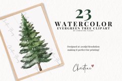 23 Watercolor Evergreen Clipart Product Image 2