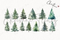 23 Watercolor Evergreen Clipart Product Image 5