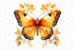Watercolor Fall Butterfly Clipart