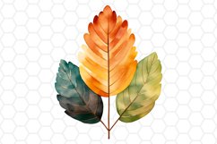 Watercolor Fall Leaf Clipart Autumn Sublimation