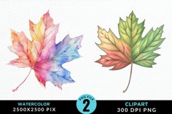 Watercolor Fall Leaves Design Clipart Product Image 1