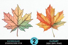 Watercolor Fall Leaves Design Clipart Product Image 1