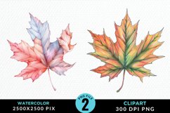 Watercolor Fall Leaves Design Clipart Product Image 1