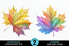 Watercolor Fall Leaves PNG Clipart Product Image 1