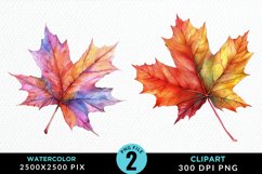 Watercolor Fall Leaves Design Clipart Product Image 1