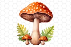 Watercolor Fall Mushroom Clipart Sublimation