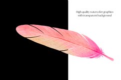 Watercolor Feather Clipart | Feather Png Files