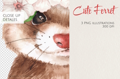 Watercolor Ferret Clipart Set Product Image 3