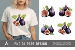 Watercolor Fig Fruits Sublimation Clipart Product Image 1