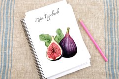 Watercolor Fig Fruits Sublimation Clipart Bundle Product Image 3