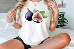 Watercolor Fig Fruits Sublimation Clipart Bundle Product Image 2