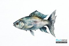 Watercolor Fish Bone PNG Clipart Product Image 1