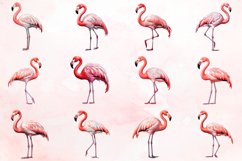 Watercolor Flamingo Clipart Bundle Product Image 2