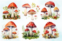 Watercolor Mushrooms Clipart Bundle Product Image 3