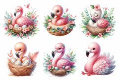 watercolor flamingo sublimation clipart Product Image 2
