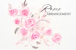 Watercolor Pink Roses Floral Arrangement PNG Product Image 1