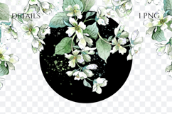 Watercolor Jasmine Floral Border PNG Product Image 2