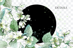 Watercolor Jasmine Floral Border PNG Product Image 2
