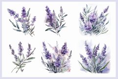 Watercolor Lavender clipart. Product Image 3