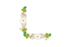 Watercolor floral corner decoration ornament clipart Product Image 1