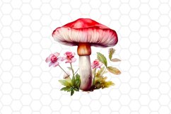 Watercolor Floral Mushroom Clipart