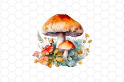 Watercolor Floral Mushroom Clipart