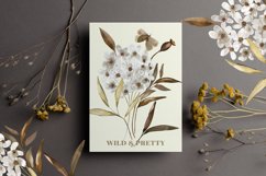 Autumn Wildflowers Clipart Alphabet &amp; Patterns Product Image 7