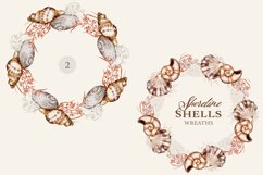 Watercolor Seashell Clipart Collection Product Image 4