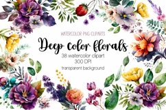 Watercolor flower clipart bundle