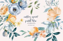 Mellow Apricot &amp; Pastel Blue Floral Clipart Set Product Image 4