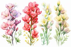 Watercolor Flowers Bouquets, illustration Background Product Image 1