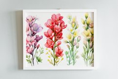 Watercolor Flowers Bouquets, illustration Background Product Image 2