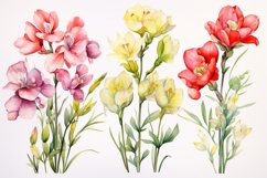 Watercolor Flowers Bouquets, illustration Background Product Image 1