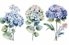 Watercolor Flowers Bouquets, illustration Background Product Image 1