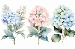 Watercolor Flowers Bouquets, illustration Background Product Image 1
