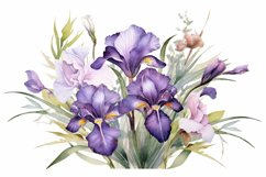 Watercolor Flowers Bouquets, illustration Background Product Image 1