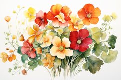 Watercolor Flowers Bouquets, illustration Background Product Image 1