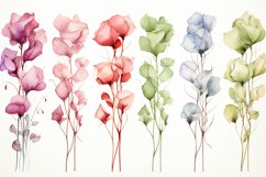Watercolor Flowers Bouquets, illustration Background Product Image 1