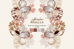 Watercolor Seashell Clipart Collection Product Image 1