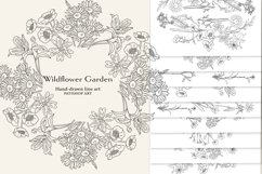 Line Art Wildflower Clipart Collection Sketched Botanicals Product Image 2