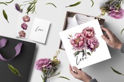 Watercolor Peony flower Clipart Product Image 4