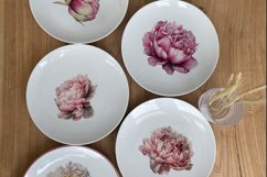 Watercolor Peony flower Clipart Product Image 6