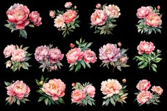 Watercolor Peony flower Clipart Product Image 3