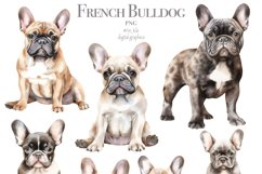 French Bulldogs Product Image 2