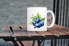 Fresh Blueberries Watercolor Sublimation Clipart Product Image 7