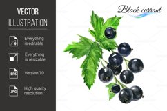 Watercolor black currant Product Image 1