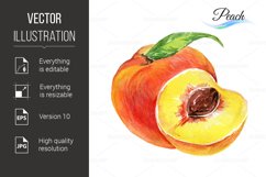 Watercolor peach Product Image 1