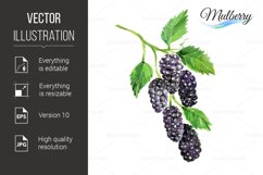 Watercolor mulberry Product Image 1